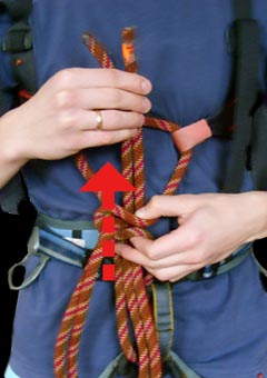 06.jpg