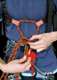 05.jpg