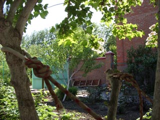 SN851314.jpg
