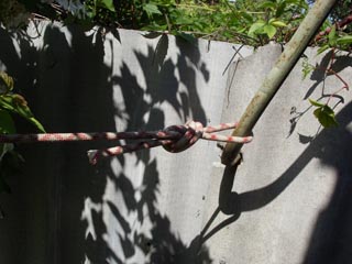 SN851317.jpg